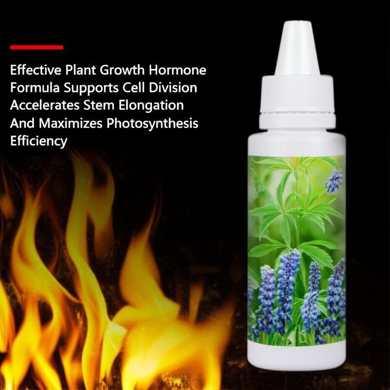 Effective Plant Growth Hormone Formula Supports Cell Division Accelerates Stem Elongation And Maximizes Photosynthesis Efficiency